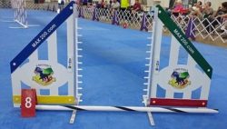 Custom Personalized Jump