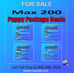 Puppy Package Deals