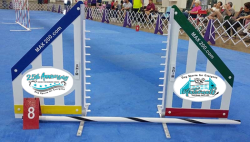 Souvenir Jumps
