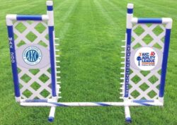 AKC 2025 Agility League Championship Souvenir Lattice Wing Jump