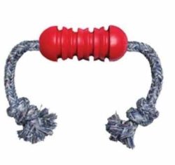 Dental KONG