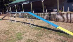 Adjustable Dog Walk 8' or 12'