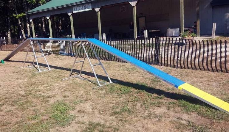 Adjustable Dog Walk 8' or 12'