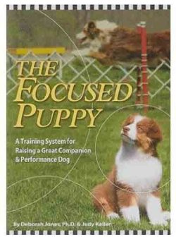The FOCUSED PUPPY