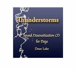 CDs