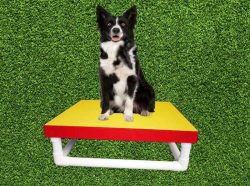 PVC Pause Table