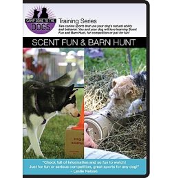 Scent Fun & Barn Hunt