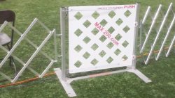 Enter/Exit  Swing Gates