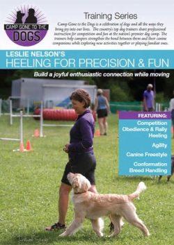 Heeling For Precision & Fun