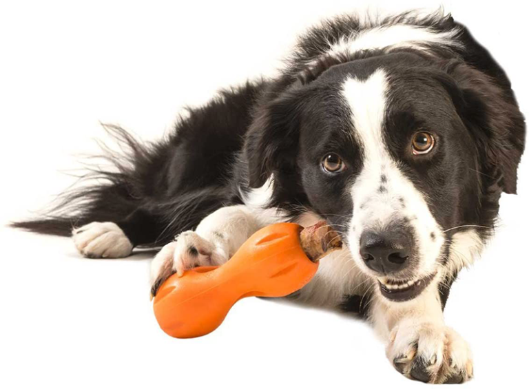 West Paw/Zogoflex Qwizl Treat Toy