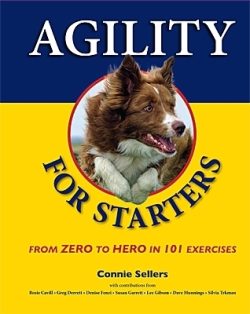 Agility For Starters