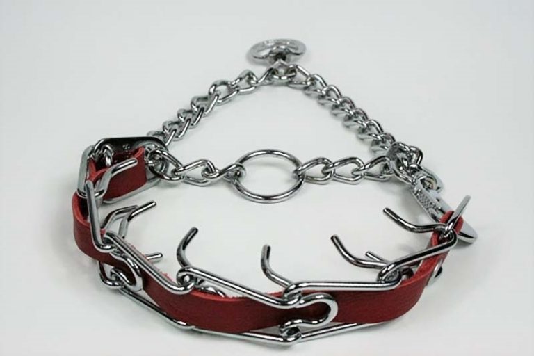 Deluxe Prong (Pinch) Training Collar
