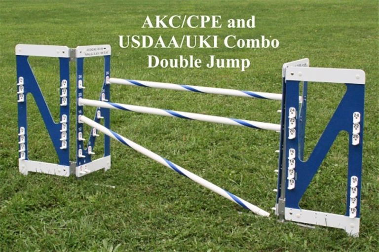 Double Jump