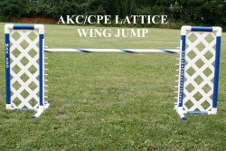 Lattice Wing Jump