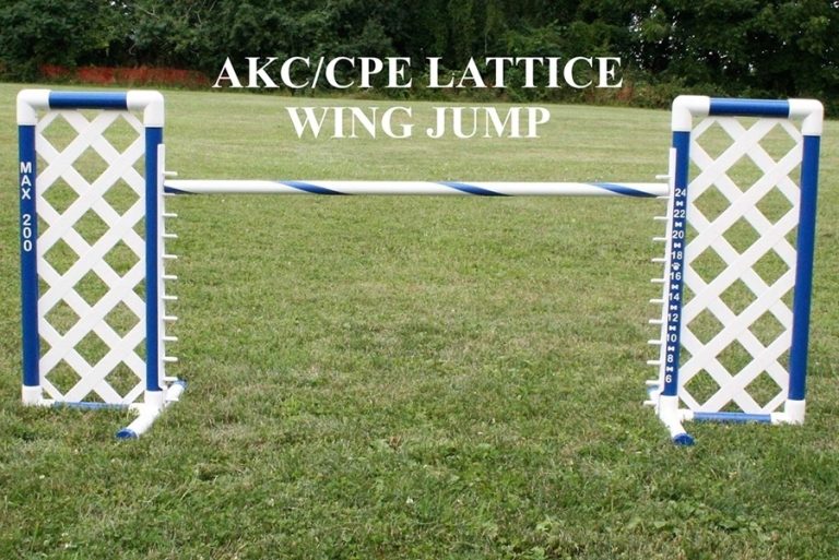 Lattice Wing Jump