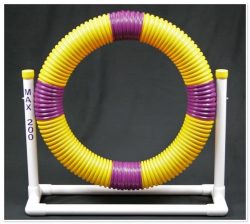 Puppy Tire with Stand