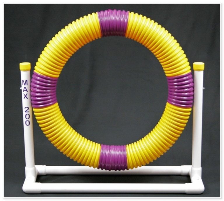 Puppy Tire with Stand