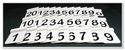 Max 200 Rally Numbers