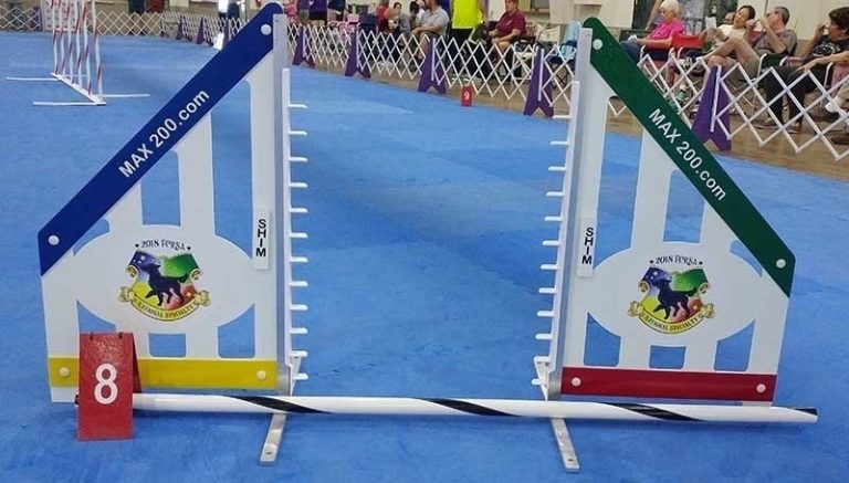 Custom Personalized Jump - Model B Wing Jump