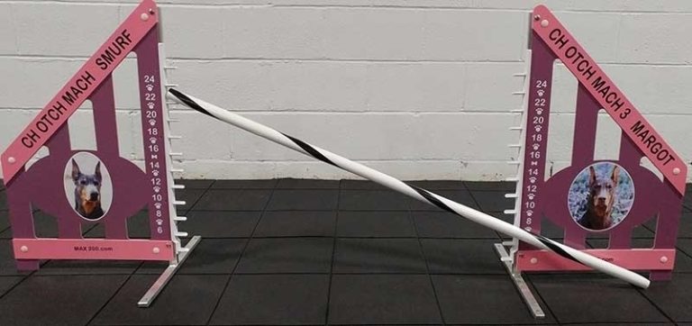Custom Personalized Jump - Model B Wing Jump