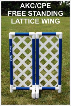 Free Standing Lattice Wing