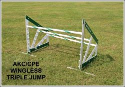 Triple Jump