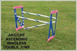Double Jump