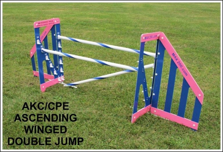 Double Jump