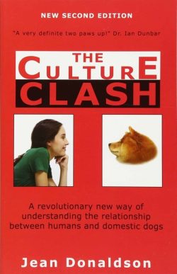The Culture Clash - Jean Donaldson