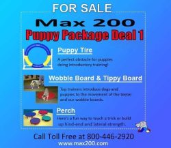 Puppy Package Deal #1 - Retail Price $370.00