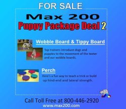 Puppy Package Deal #2 - Retail Price $220.00