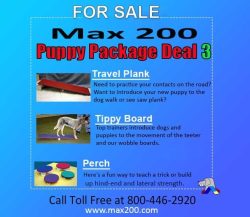 Puppy Package Deal #3 - Retail Price $180.00