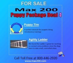 Puppy Package Deal #4 - Retail Price $320.00