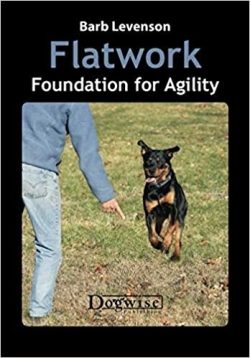 Flatwork-Foundation for Agility