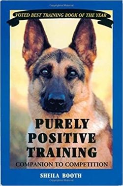 Purely Positive Training-Companion to Competition